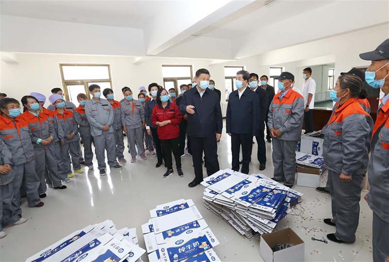 Xi Jinping inspecte le Ningxia (nord-ouest)