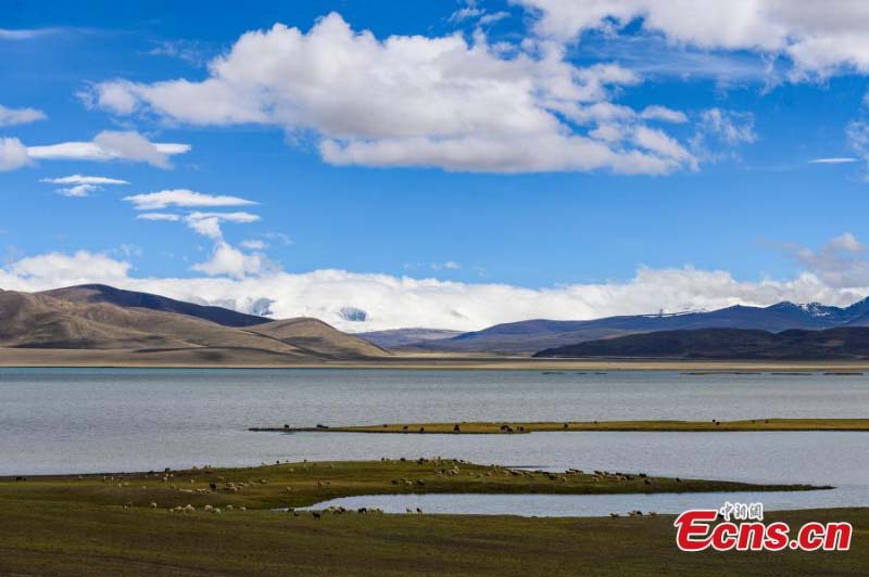 Les paysages du lac Puma Yumco au Tibet