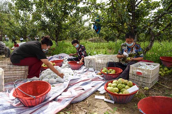 Un rapport d'enquête montre qu'il n'y a pas de travail forcé au Xinjiang