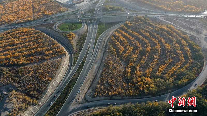 à Korla dans le Xinjiang, les montagnes teintées par l'automne offrent un paysage charmant