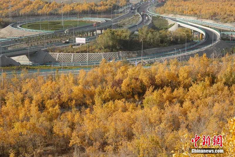 à Korla dans le Xinjiang, les montagnes teintées par l'automne offrent un paysage charmant