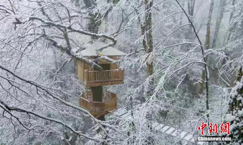 Sichuan : un paysage magnifique d'hiver appara?t avec les premières neiges à Ya'an