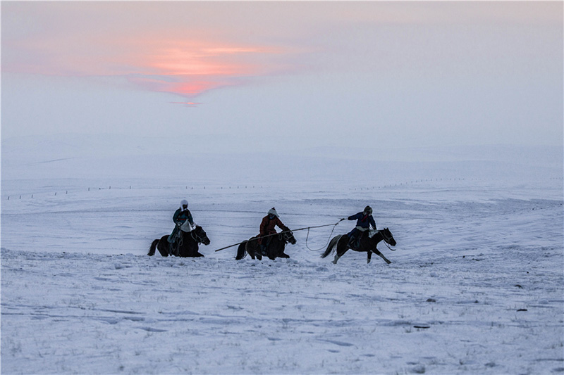 En Mongolie intérieure, l'exercice de cerclage des chevaux garde les animaux en forme