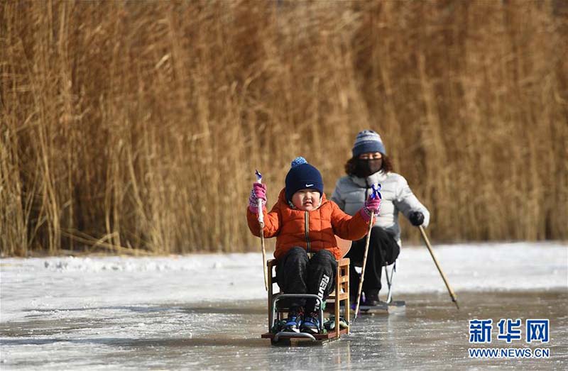 Profitons des plaisirs de la glace en hiver