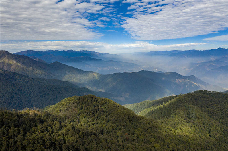 Les patrouilleurs aident à préserver l'aspect sauvage de la vie dans le Yunnan