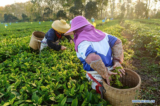 La Chine s'engage à poursuivre ses efforts dans la lutte contre la pauvreté