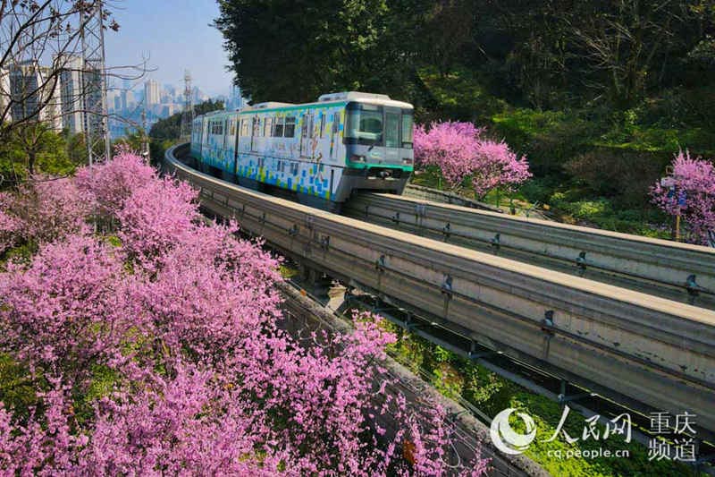 Chongqing : des trains à destination du printemps