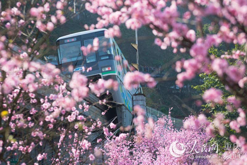 Chongqing : des trains à destination du printemps