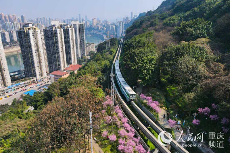 Chongqing : des trains à destination du printemps