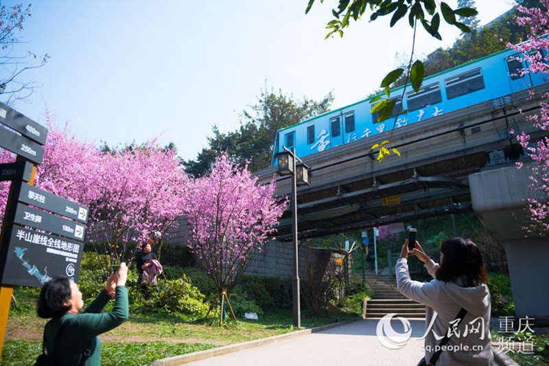 Chongqing : des trains à destination du printemps