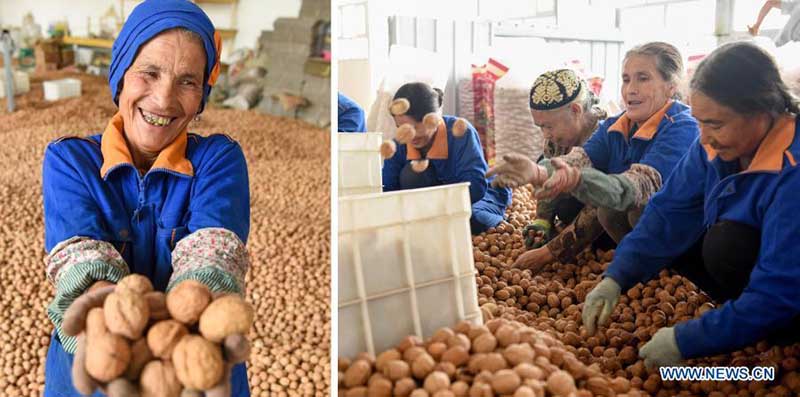 Des photos racontent la vie meilleure des habitants au Xinjiang