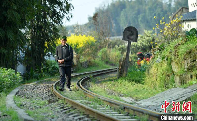 Un petit train à destination du printemps dans le Sichuan