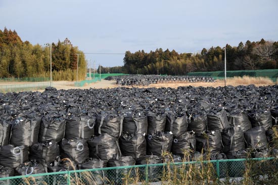 Le Japon est-il un pays égo?ste et sans-gêne ou une nation responsable ?