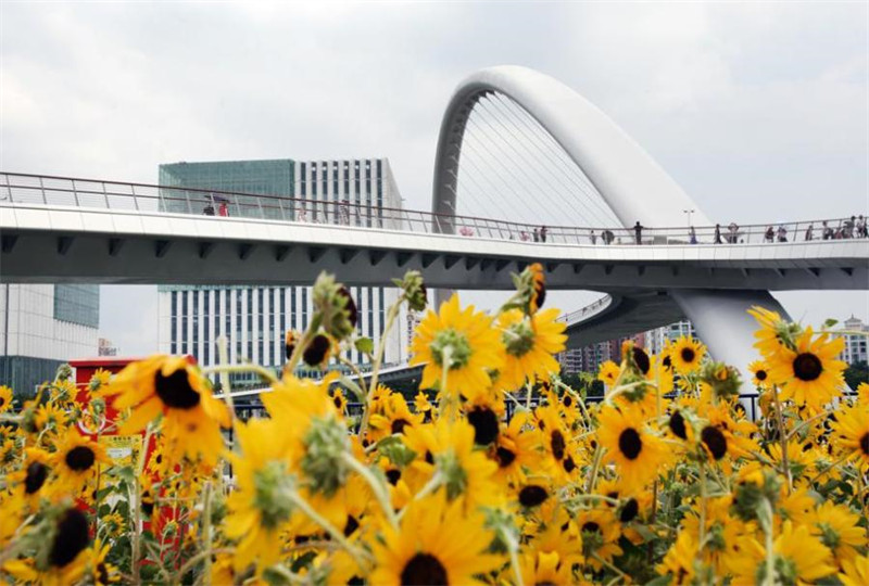 Ouverture d'une nouvelle passerelle sur la rivière des Perles à Guangzhou