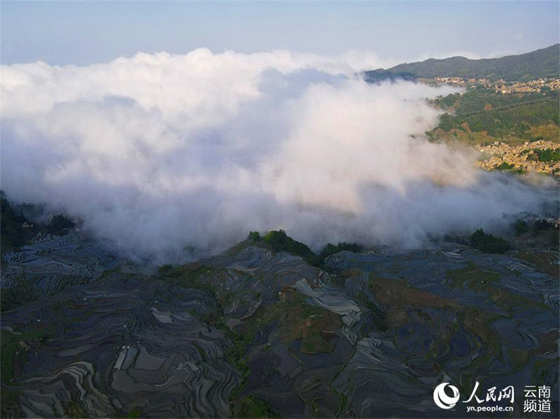 Les terrasses agricoles des Hani du Yunnan, une merveille écologique des quatre éléments