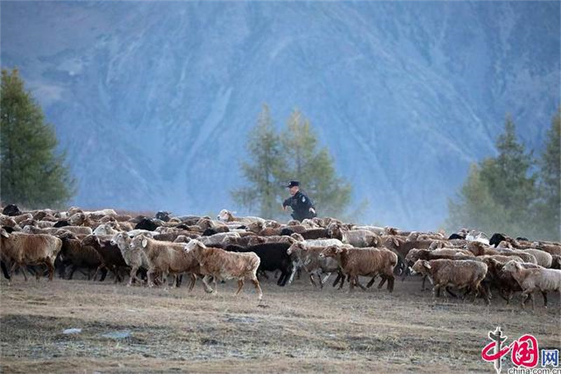 Xinjiang : la grande transhumance des bergers de l'Altay avec l'aide des policiers locaux