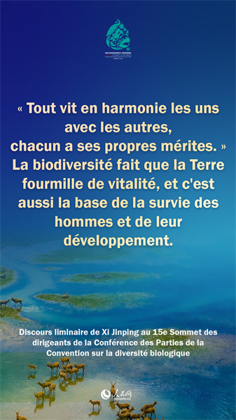 Ce qu'il faut retenir du discours de Xi Jinping au sommet des dirigeants de la COP15