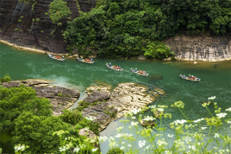 La Chine crée officiellement ses premiers parcs nationaux