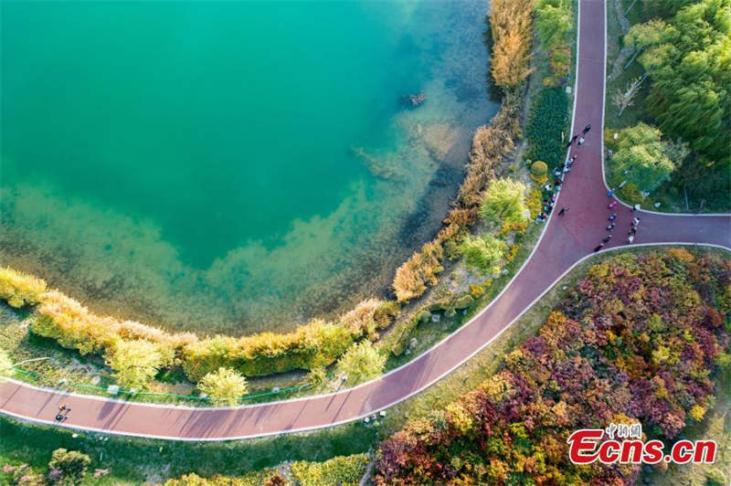 Paysages d'automne du site touristique de Lushuiwan à Zhangye, dans le Gansu