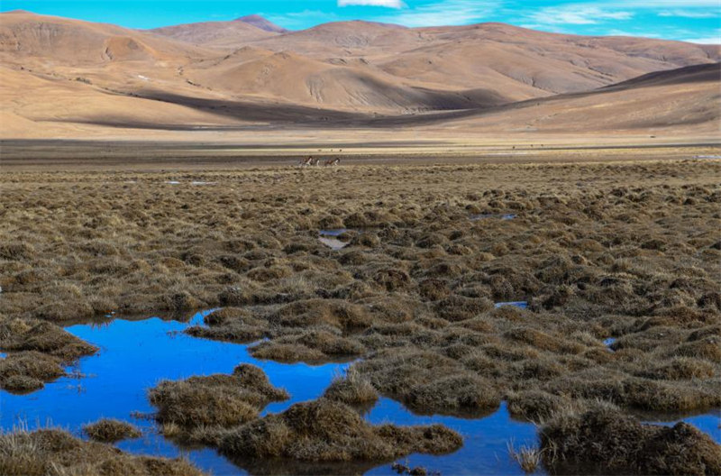 Chine : le lac Zhegu au Tibet