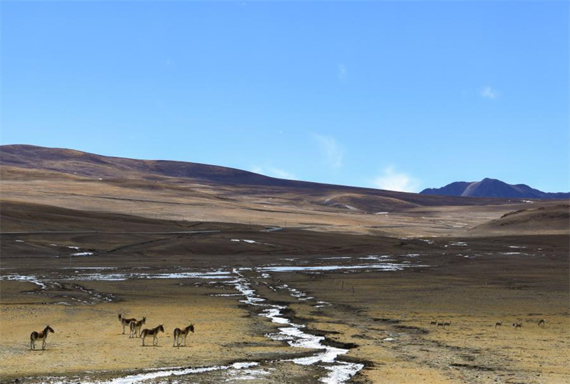 Chine : le lac Zhegu au Tibet