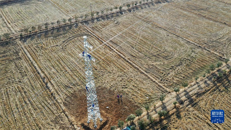 Un groupe de personnes ? chasse le vent ? le long d'une ligne d'énergie verte