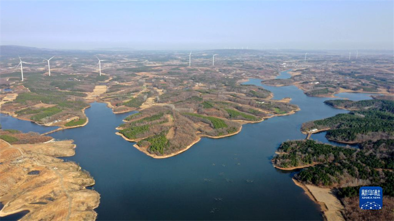 Un groupe de personnes ? chasse le vent ? le long d'une ligne d'énergie verte