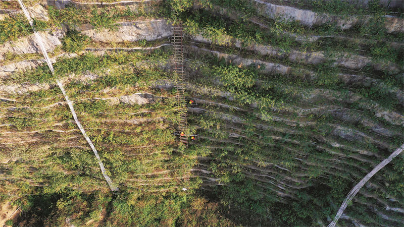 à Liuzhou dans le Guangxi, on gravit ? l'échelle céleste ? pour reverdir une montagne