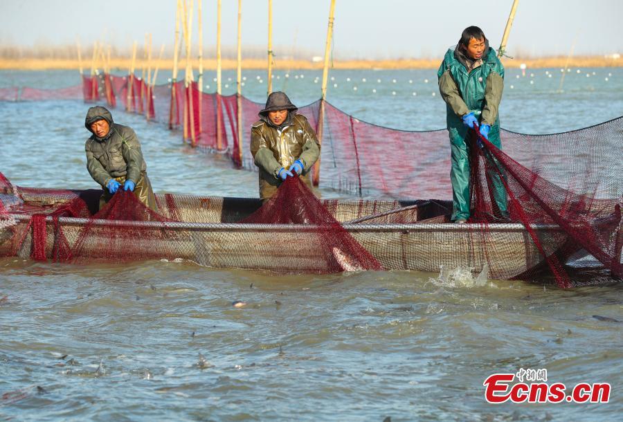 Une pêche hivernale exceptionnelle en cours dans la province de l'Anhui