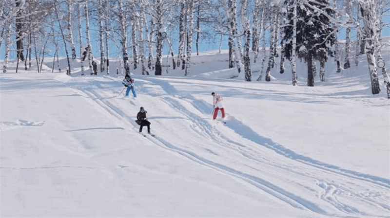 Xinjiang : une jeune fille de 13 ans d'Altay et sa station de ski sauvage