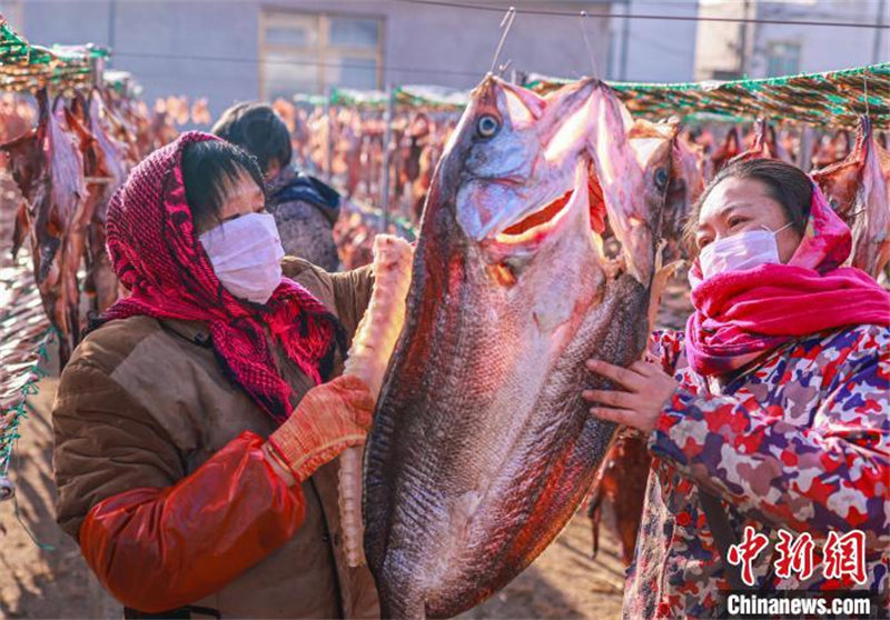 Shandong : les commandes de poissons séchés des pêcheurs de Rongcheng très demandées à l'approche de la Fête du printemps