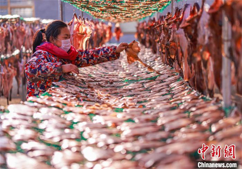 Shandong : les commandes de poissons séchés des pêcheurs de Rongcheng très demandées à l'approche de la Fête du printemps