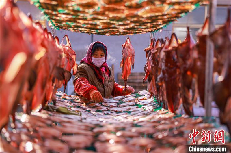 Shandong : les commandes de poissons séchés des pêcheurs de Rongcheng très demandées à l'approche de la Fête du printemps