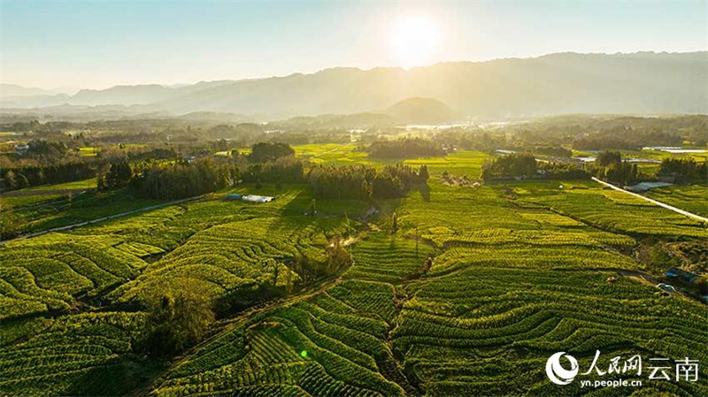 Yunnan : le ? grenier de Tengyue ? dans toute la beauté du printemps