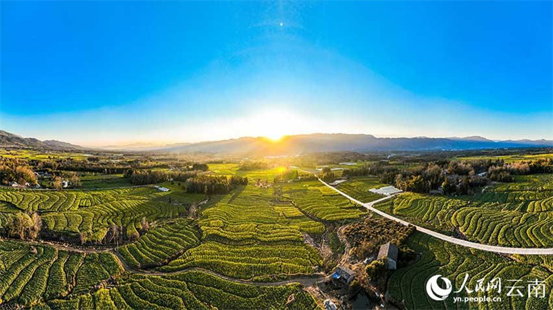 Yunnan : le ? grenier de Tengyue ? dans toute la beauté du printemps