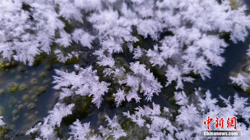 Des ? fleurs de glaces ? poussent sur les rivières du ? p?le de froid ? de la Chine