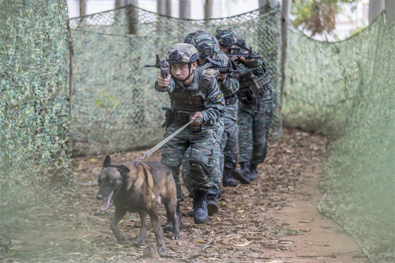 Guangxi : les formateurs de la police armée de Nanning effectuent un entra?nement intensif avec des chiens de police