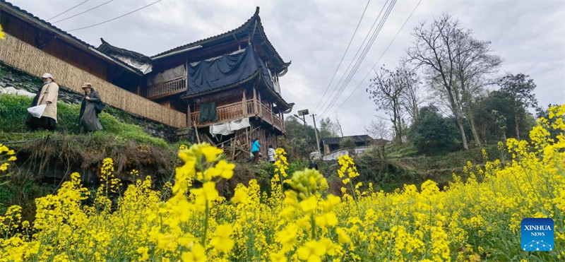 Hunan : le pont d'Aizhai devient la voie vers la prospérité pour les villageois locaux