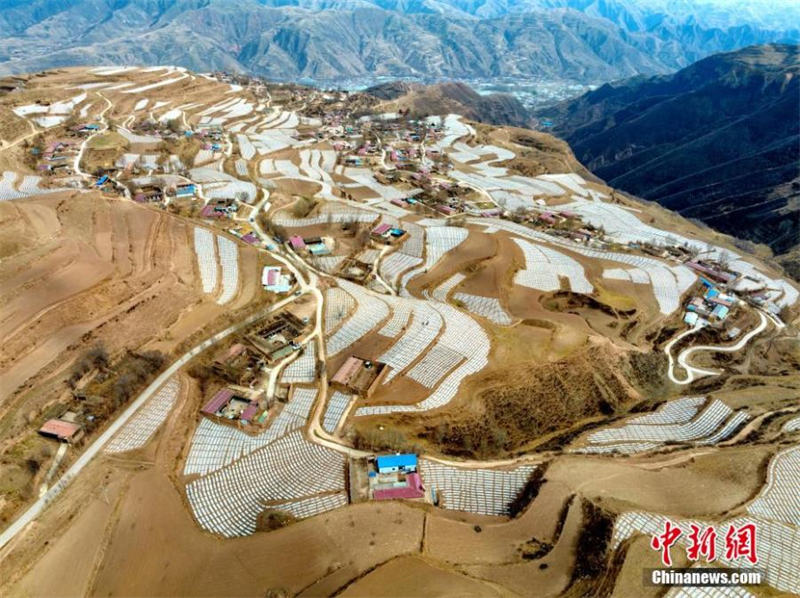 Une base de plantation de pommes de terre dans la province du Qinghai vue du ciel