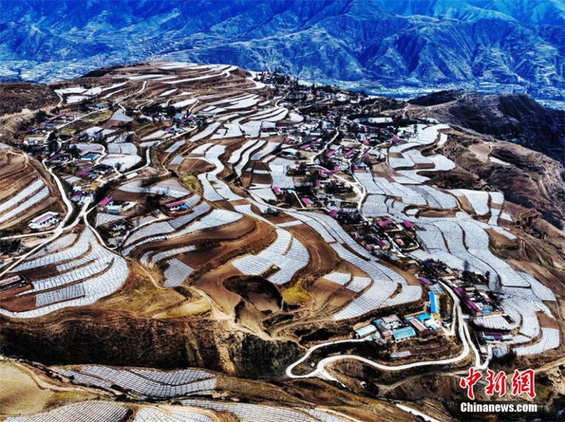 Une base de plantation de pommes de terre dans la province du Qinghai vue du ciel