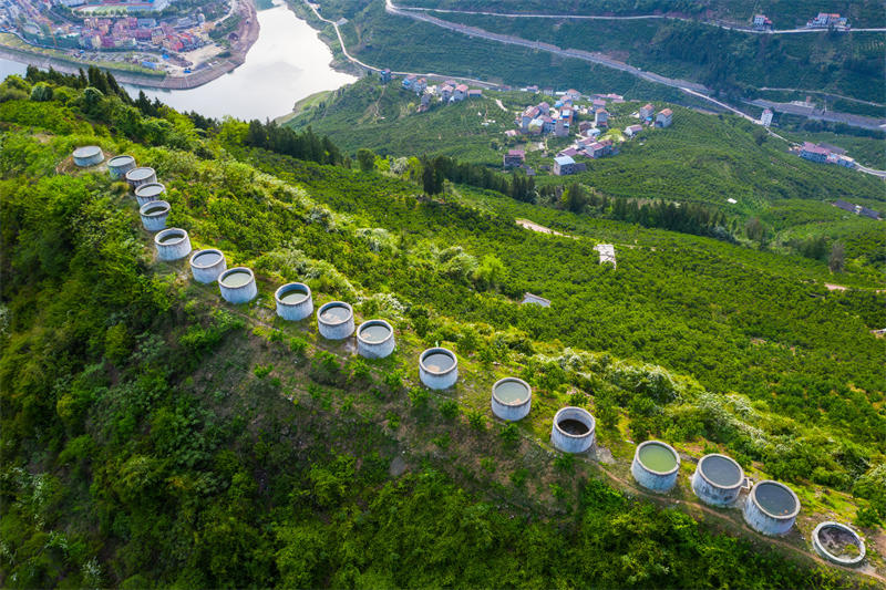 Hubei : les petits étangs jouent un grand r?le dans le comté de Zigui