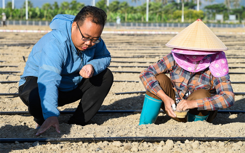 Hainan : en visite dans le laboratoire de semences de la baie de Yazhou à Sanya