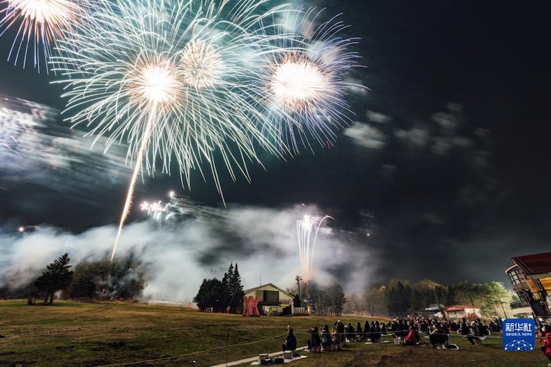 Le Festival du feu d'artifice de la préfecture de Yamanashi, au Japon