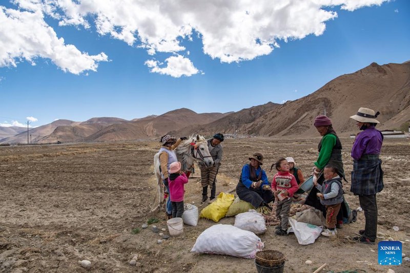 Les travaux agricoles de printemps commencent dans la commune administrative la plus proche du mont Qomolangma