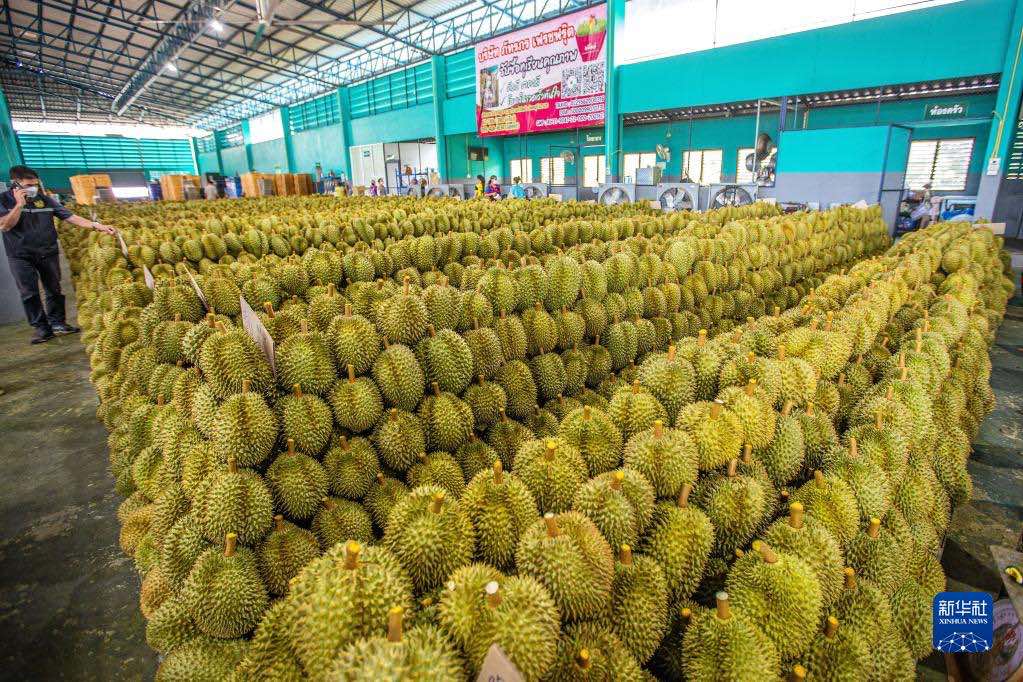 De plus en plus de Chinois peuvent déguster du durian tha? grace au RCEP