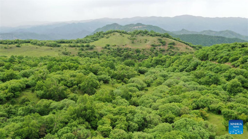 Gansu : le mont Guanshan vu d'en haut