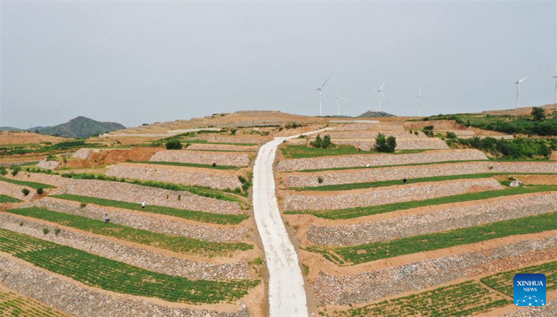 Hebei : la mise en place de l'aménagement des terres à Lulong