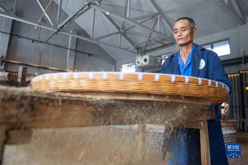 Zhejiang : l'industrie de l'huile de théier déborde de vitalité à Changshan