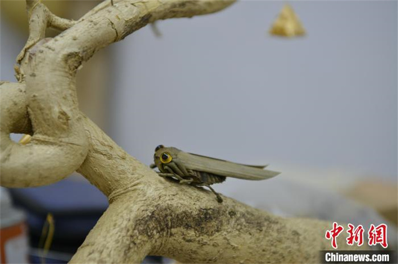 Hebei : les tiges des feuilles revivent entre les mains d'un artisan folklorique de tissage de paille à Shijiazhuang