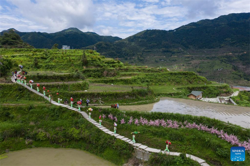 Le système de co-culture riz-poisson dans la province du Zhejiang